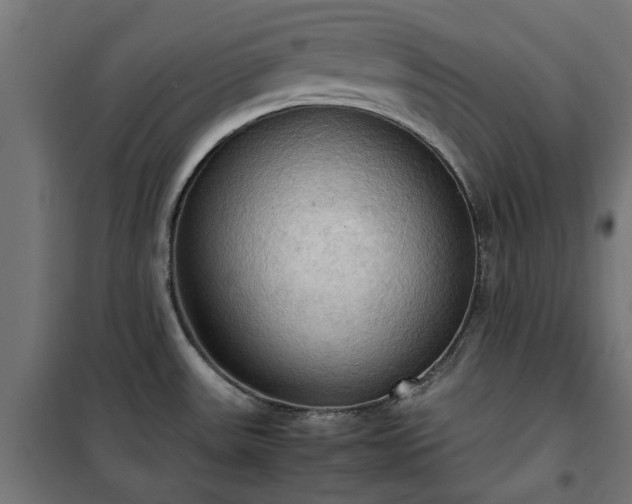 X0000100481531200806201618