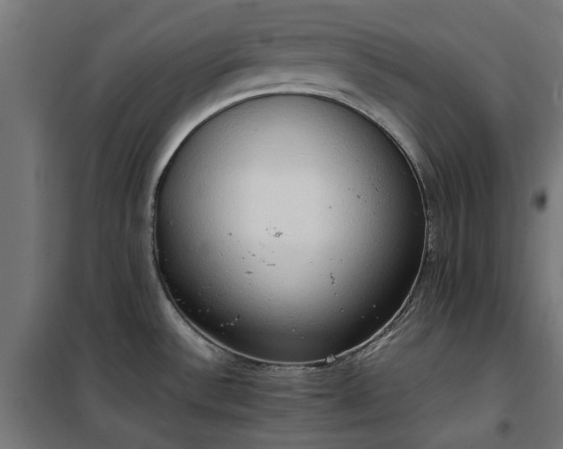X0000100481532200806201618
