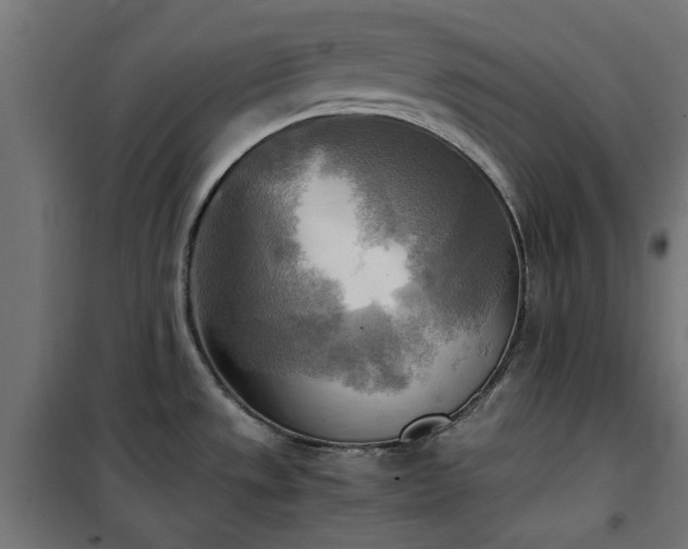 X0000100481533200806201618
