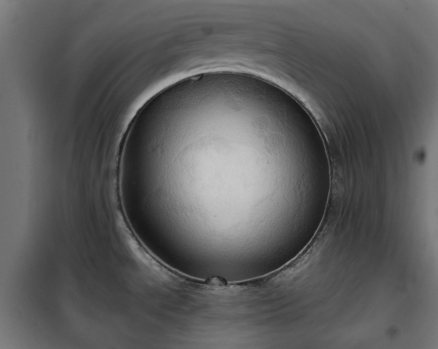 X0000100481534200806201618