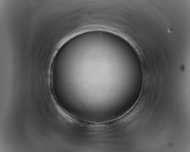X0000100481535200806201618