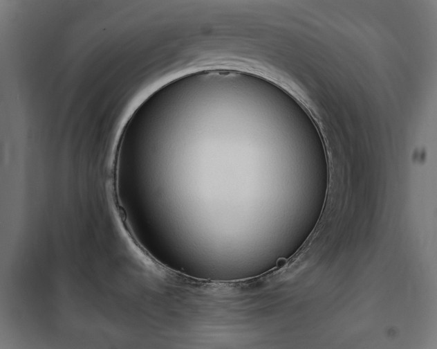 X0000100481536200806201618