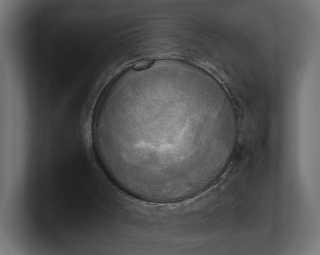 X0000100480002200806271212