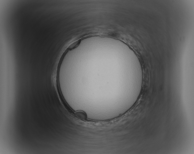 X0000100480003200806271212