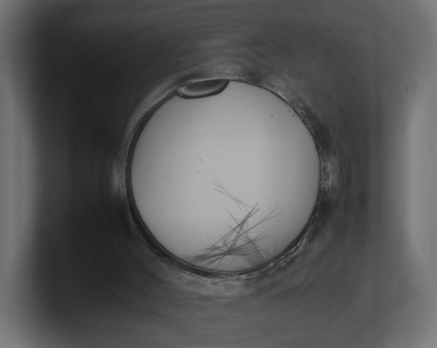 X0000100480004200806271212