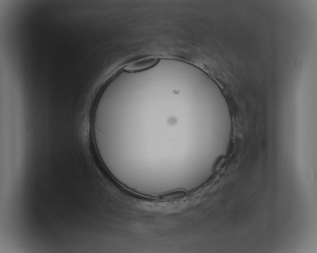 X0000100480005200806271212