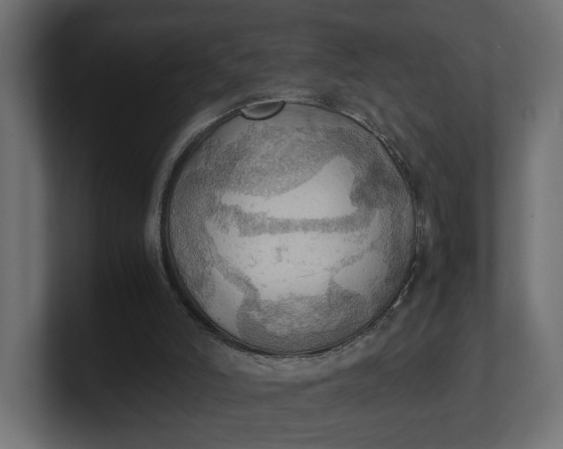 X0000100480006200806271212