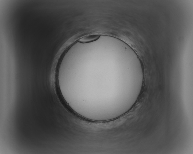 X0000100480007200806271212