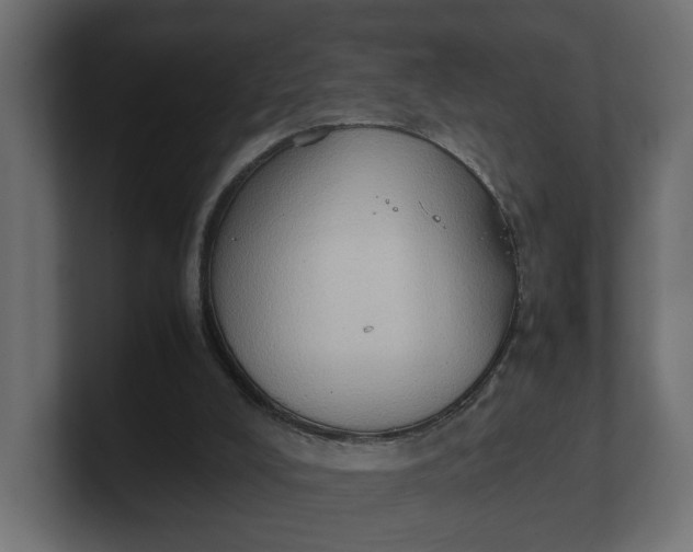 X0000100480008200806271212