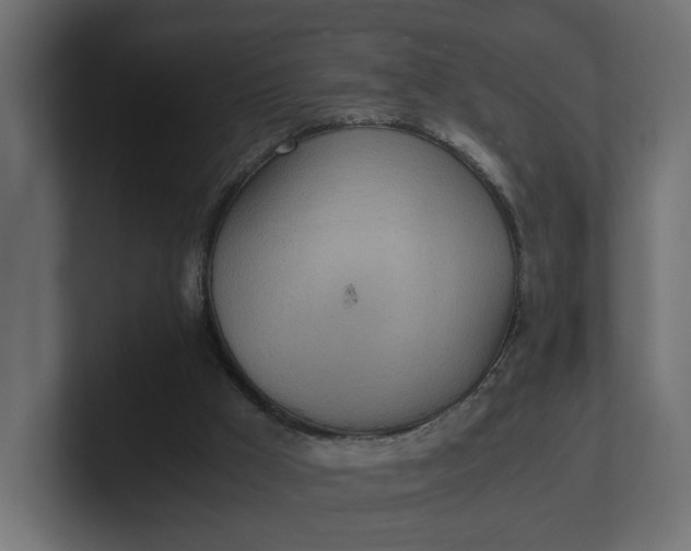 X0000100480009200806271212