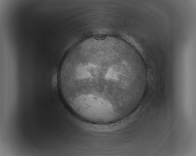 X0000100480010200806271212