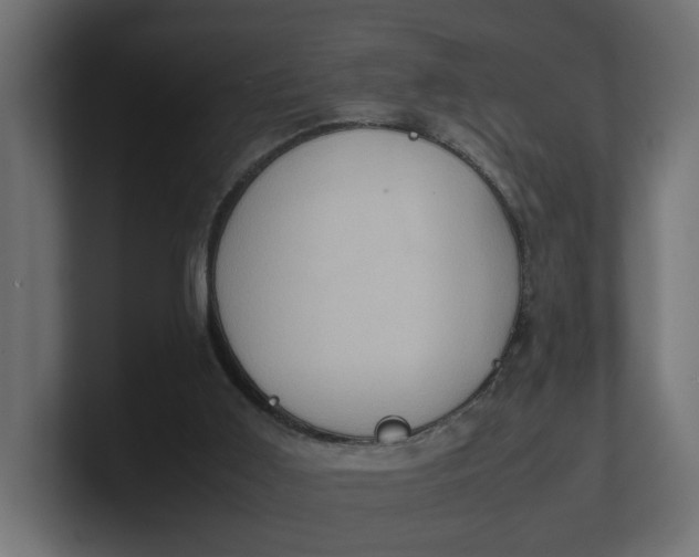 X0000100480011200806271212