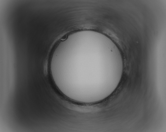 X0000100480012200806271212