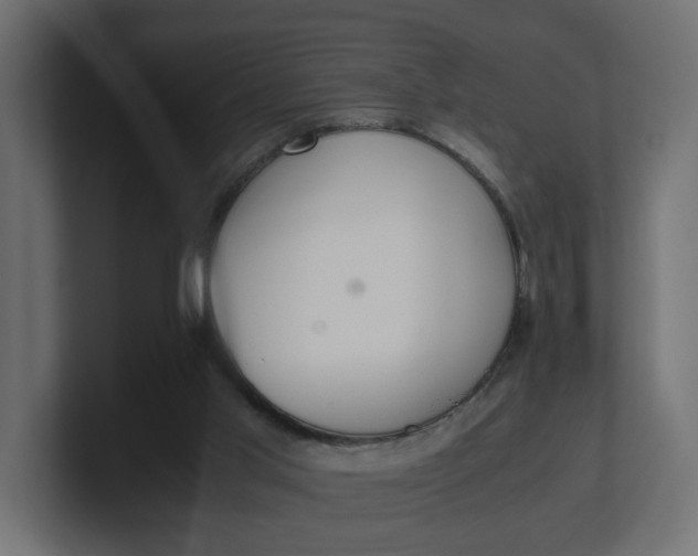 X0000100480013200806271212