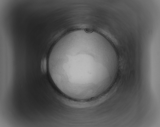 X0000100480014200806271212