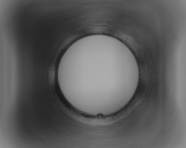 X0000100480016200806271212