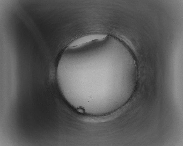 X0000100480017200806271212