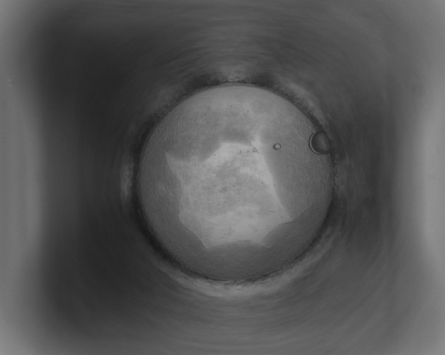 X0000100480018200806271212