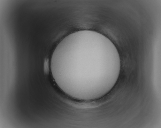 X0000100480020200806271212