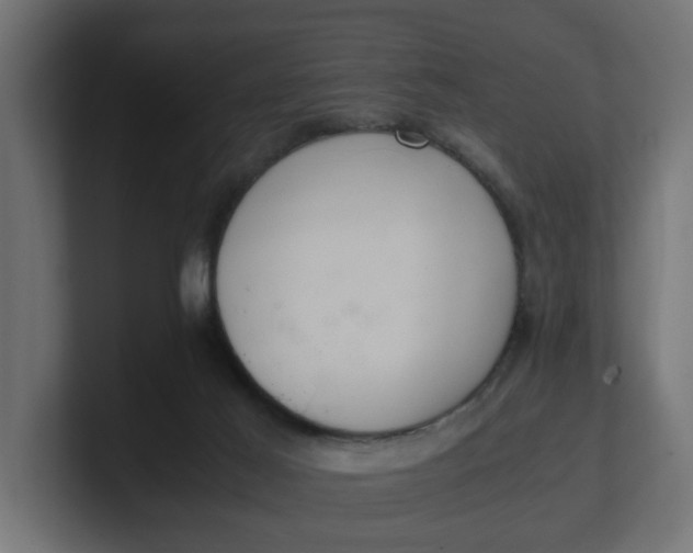 X0000100480021200806271212