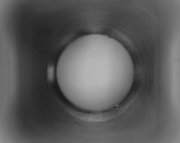 X0000100480024200806271212