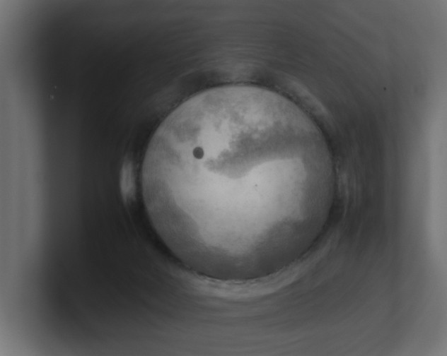 X0000100480026200806271212