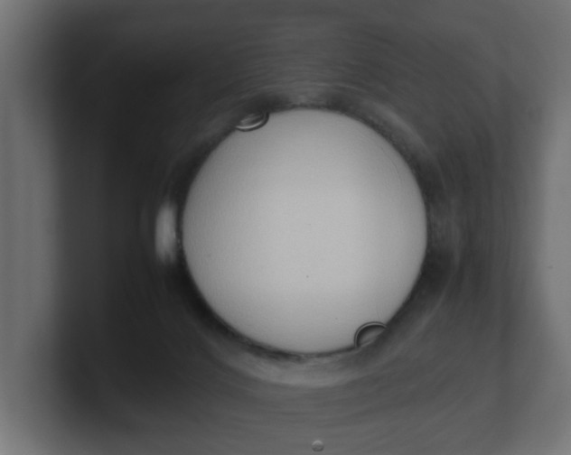 X0000100480028200806271212