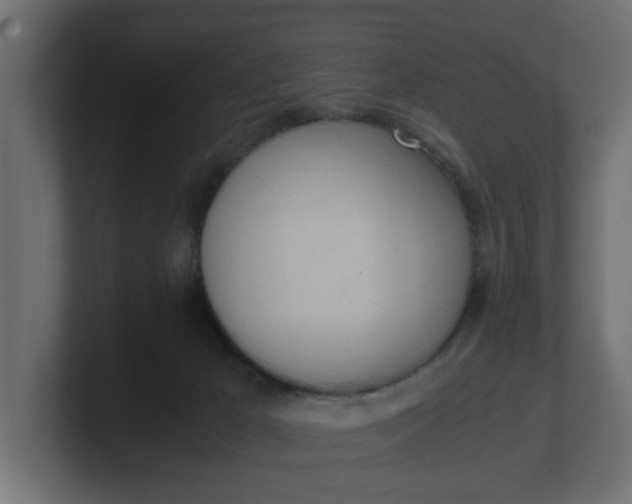 X0000100480029200806271212