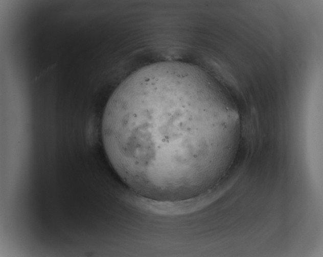 X0000100480030200806271211