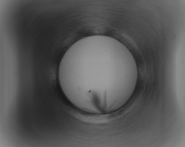 X0000100480032200806271211