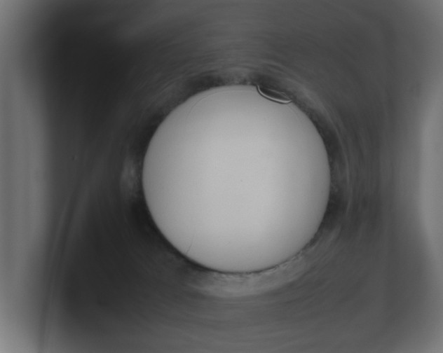 X0000100480037200806271211