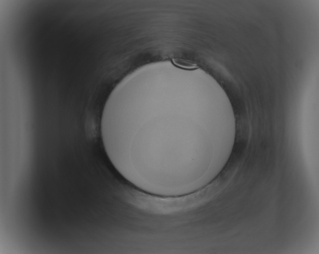 X0000100480039200806271211