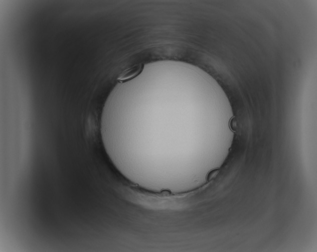 X0000100480040200806271211