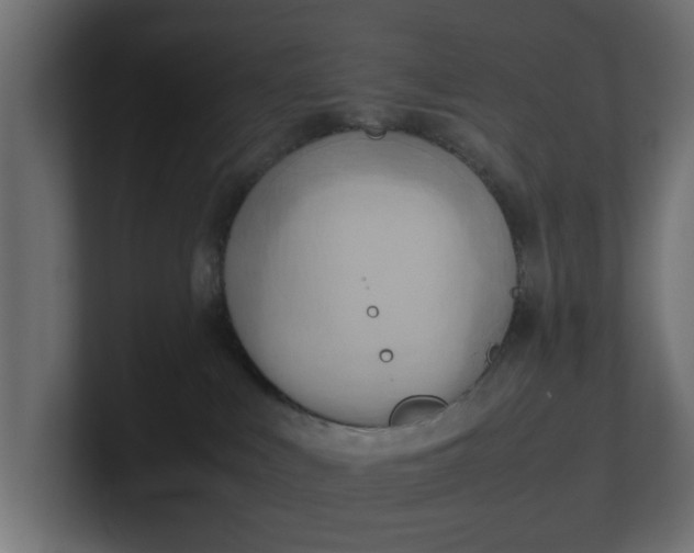 X0000100480043200806271211