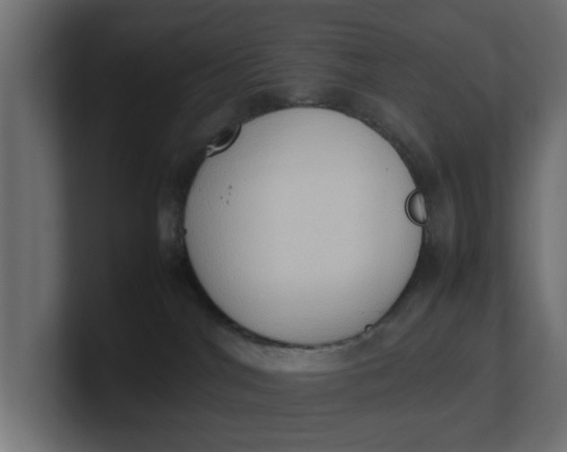 X0000100480044200806271211