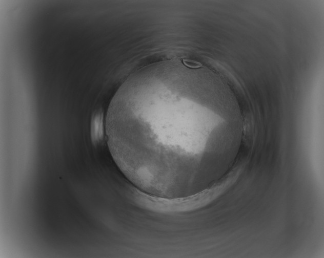 X0000100480046200806271211