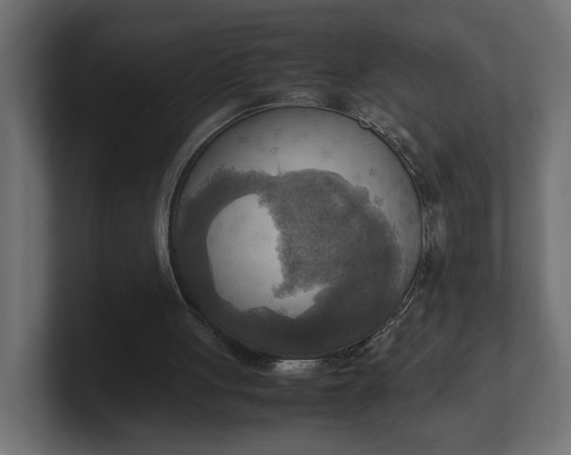 X0000100480051200806271211