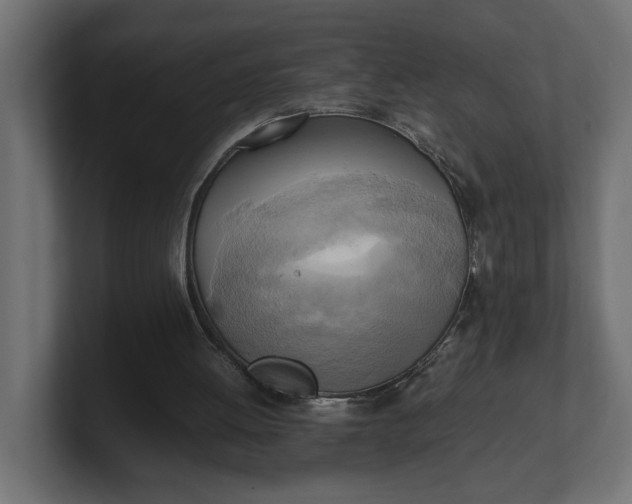 X0000100480052200806271211