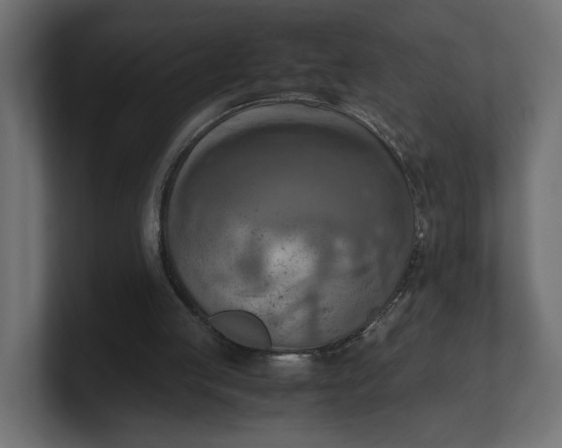 X0000100480053200806271211