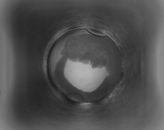 X0000100480055200806271211