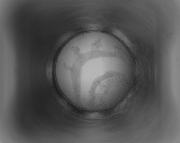 X0000100480058200806271211