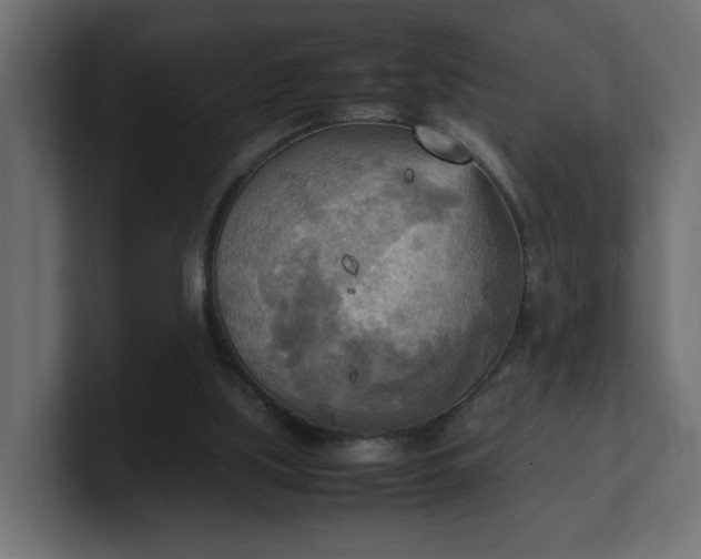 X0000100480059200806271211