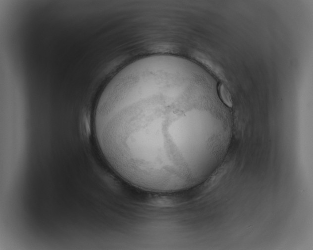 X0000100480062200806271211