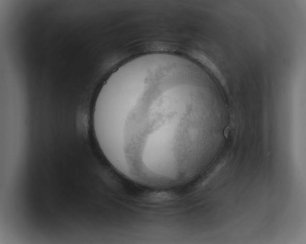 X0000100480063200806271211