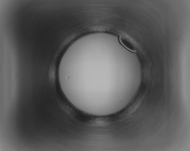 X0000100480064200806271211