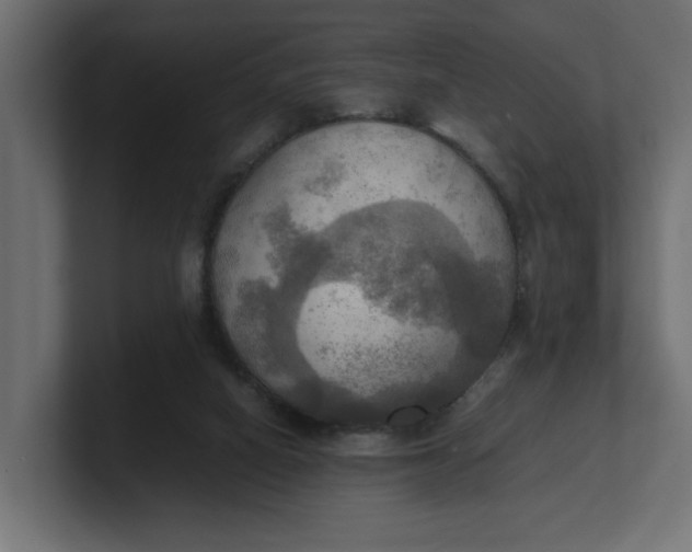 X0000100480066200806271211