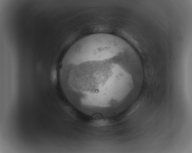 X0000100480067200806271211