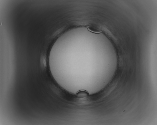 X0000100480068200806271211