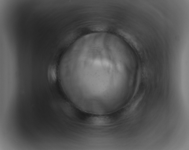 X0000100480069200806271211