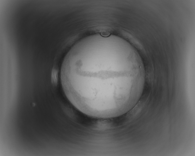 X0000100480070200806271211